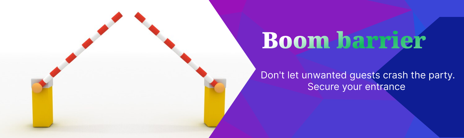 APSDP Solutions smart business and security services in Odisha